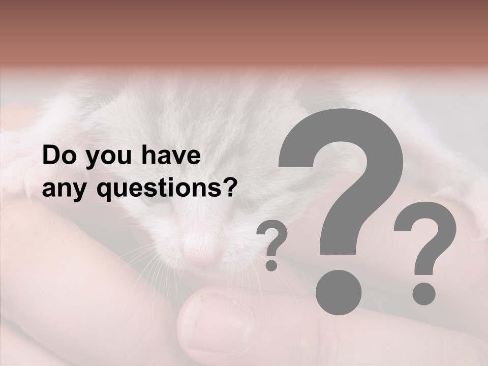 People Di Cu Ion Teamwork PowerPoint Template