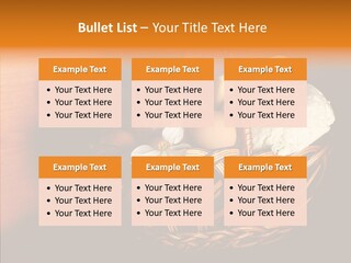 Egg Cheese Nourishing PowerPoint Template