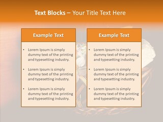 Egg Cheese Nourishing PowerPoint Template