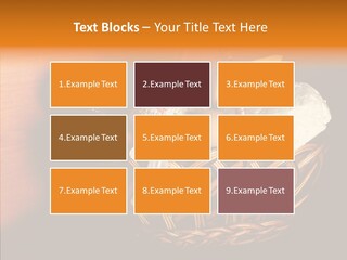 Egg Cheese Nourishing PowerPoint Template