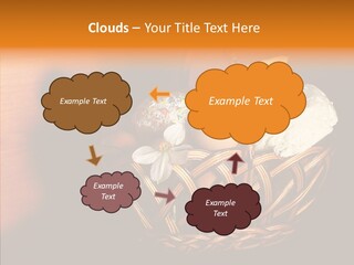 Egg Cheese Nourishing PowerPoint Template