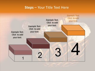 Egg Cheese Nourishing PowerPoint Template