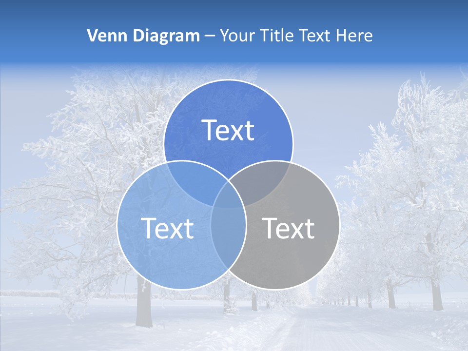Snowflakes Clear Trees PowerPoint Template
