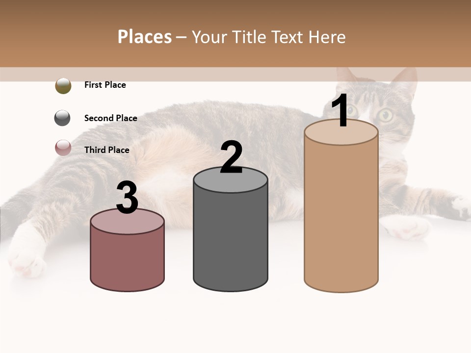 Kitten Tabby Vet PowerPoint Template