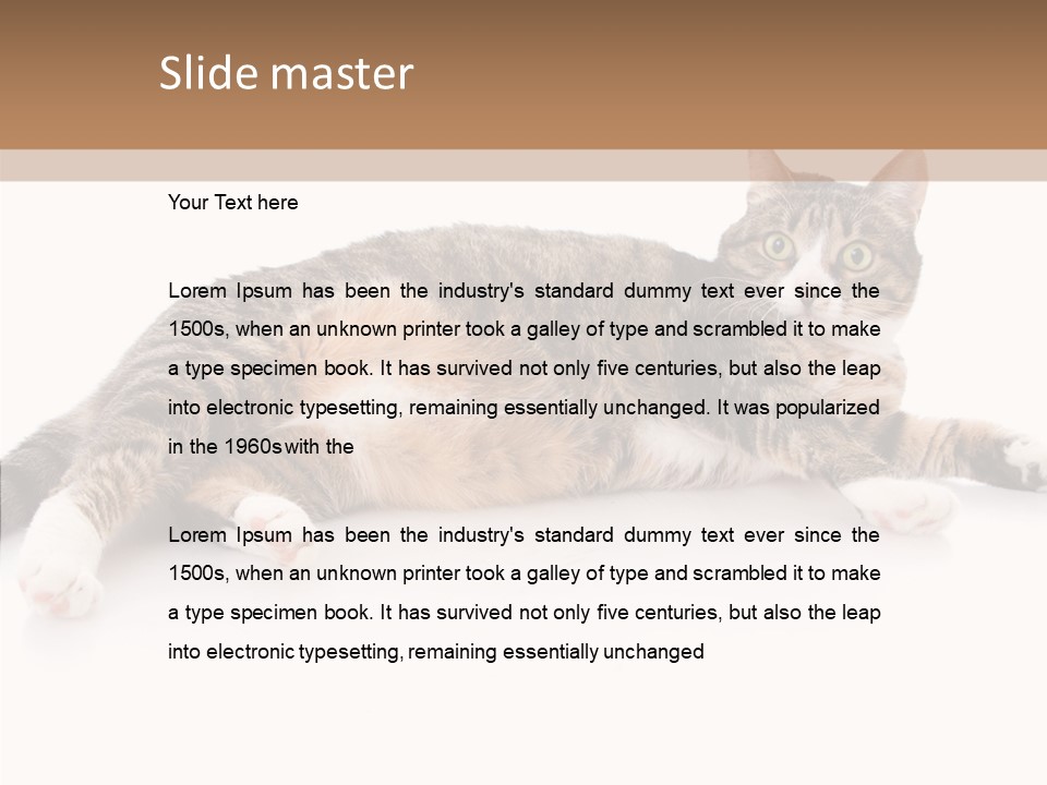 Kitten Tabby Vet PowerPoint Template
