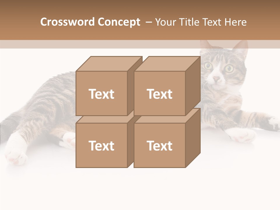 Kitten Tabby Vet PowerPoint Template