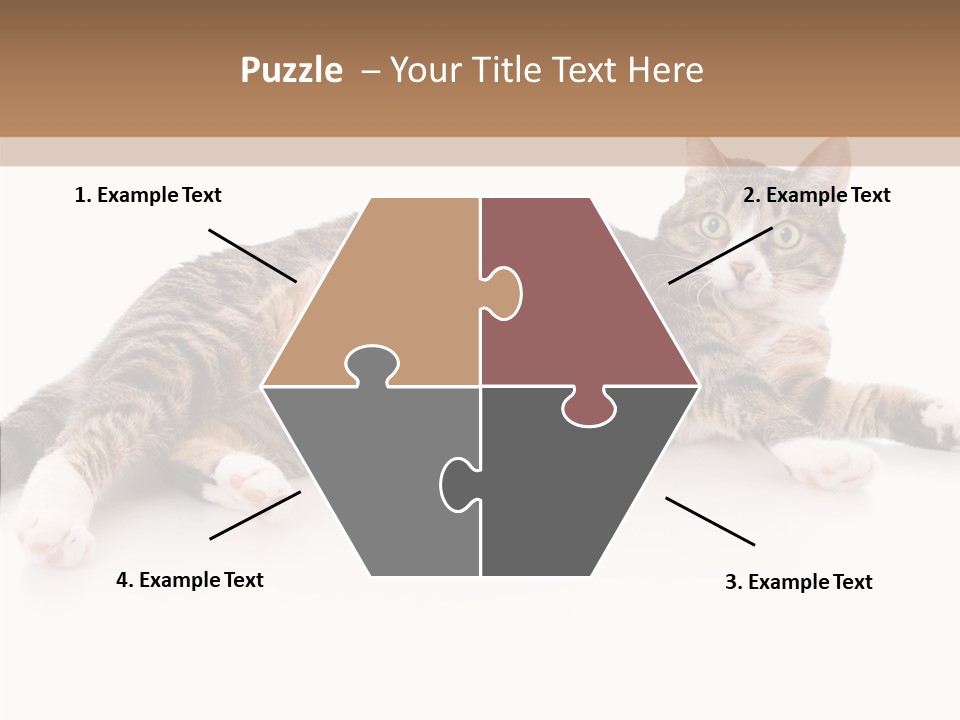 Kitten Tabby Vet PowerPoint Template