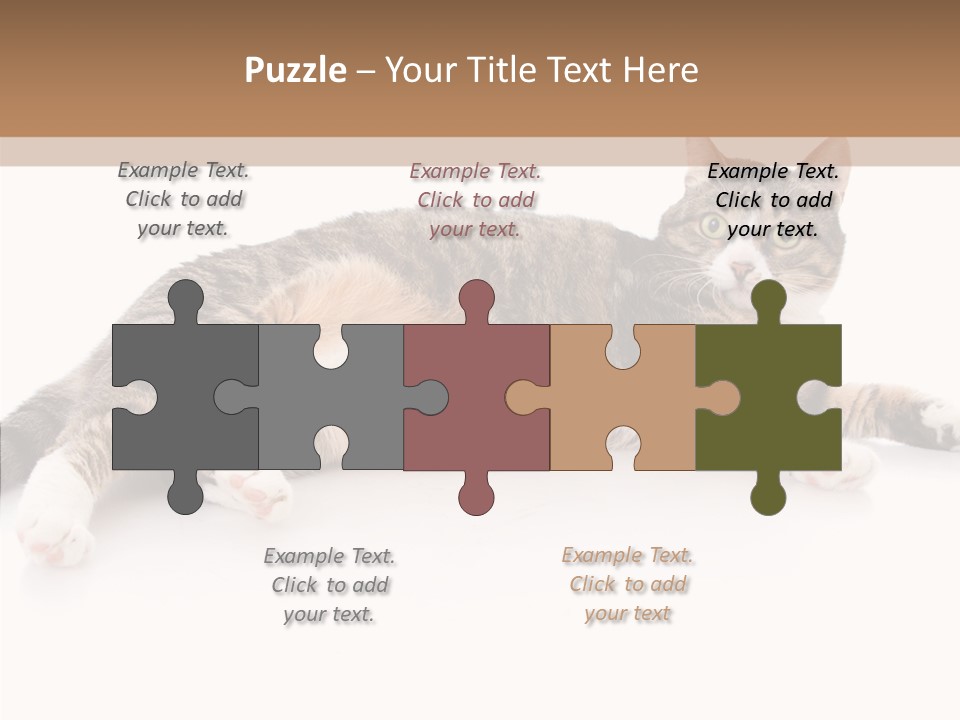 Kitten Tabby Vet PowerPoint Template