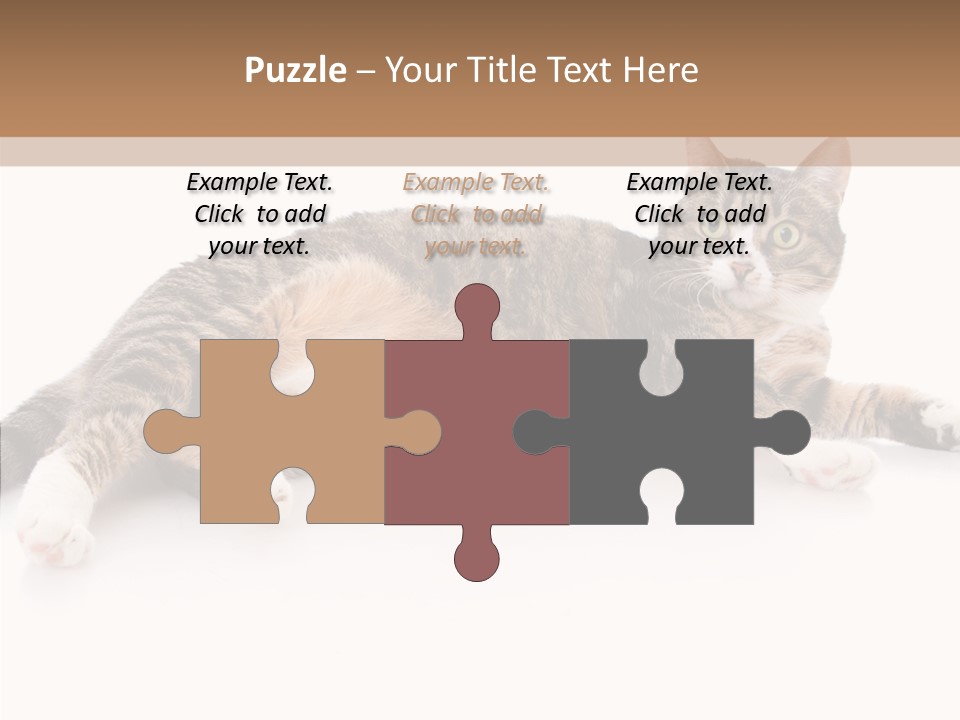 Kitten Tabby Vet PowerPoint Template