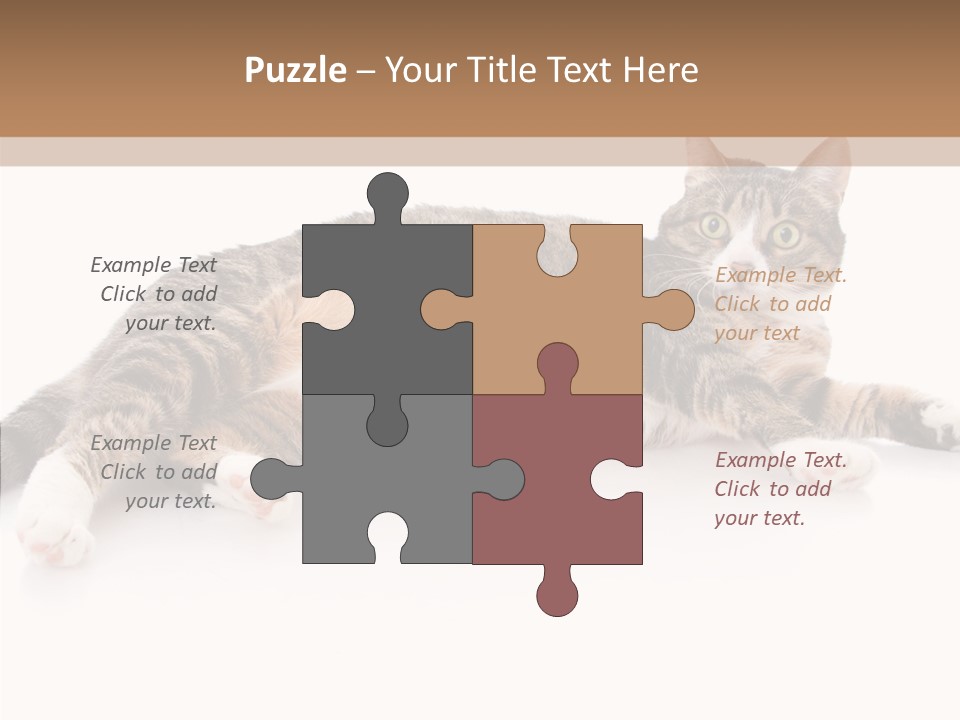 Kitten Tabby Vet PowerPoint Template