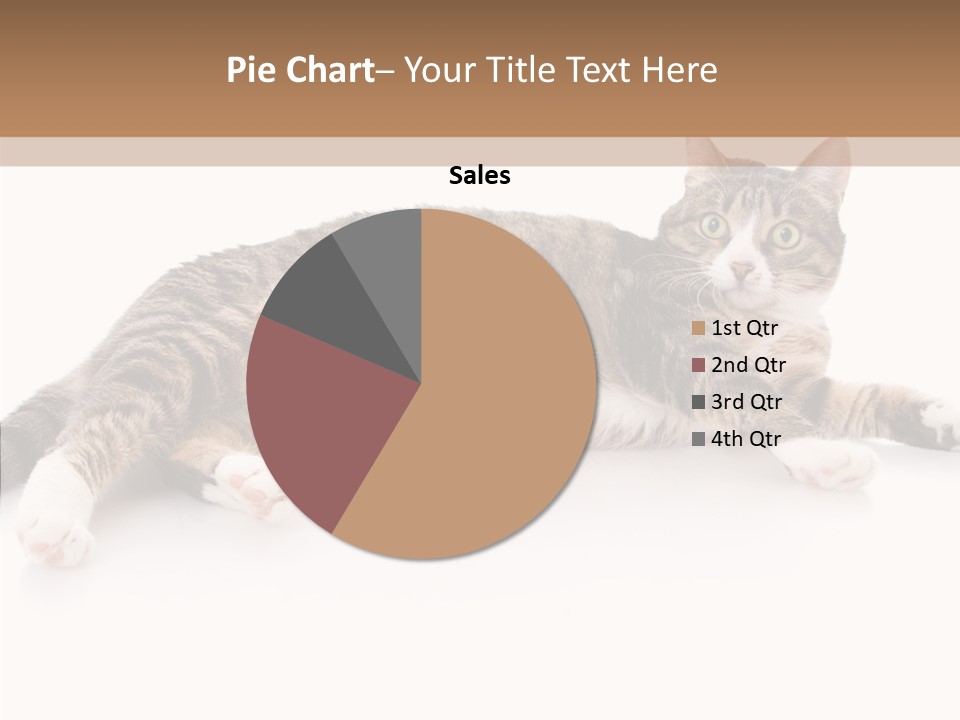 Kitten Tabby Vet PowerPoint Template