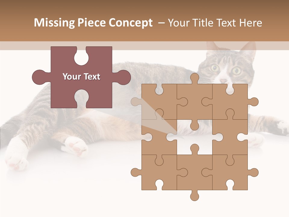 Kitten Tabby Vet PowerPoint Template