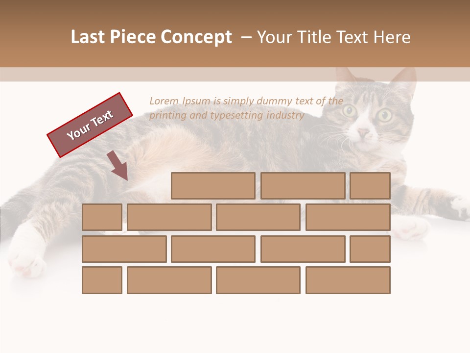 Kitten Tabby Vet PowerPoint Template