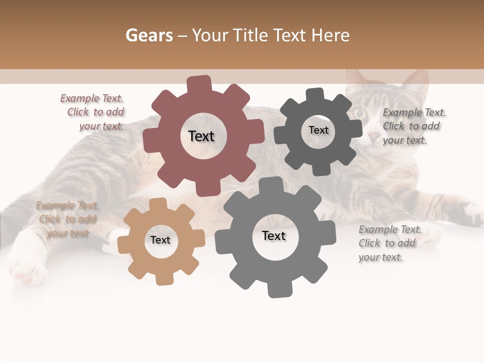 Kitten Tabby Vet PowerPoint Template