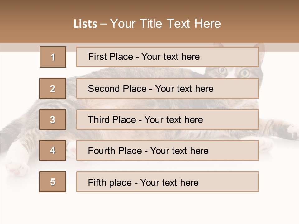 Kitten Tabby Vet PowerPoint Template