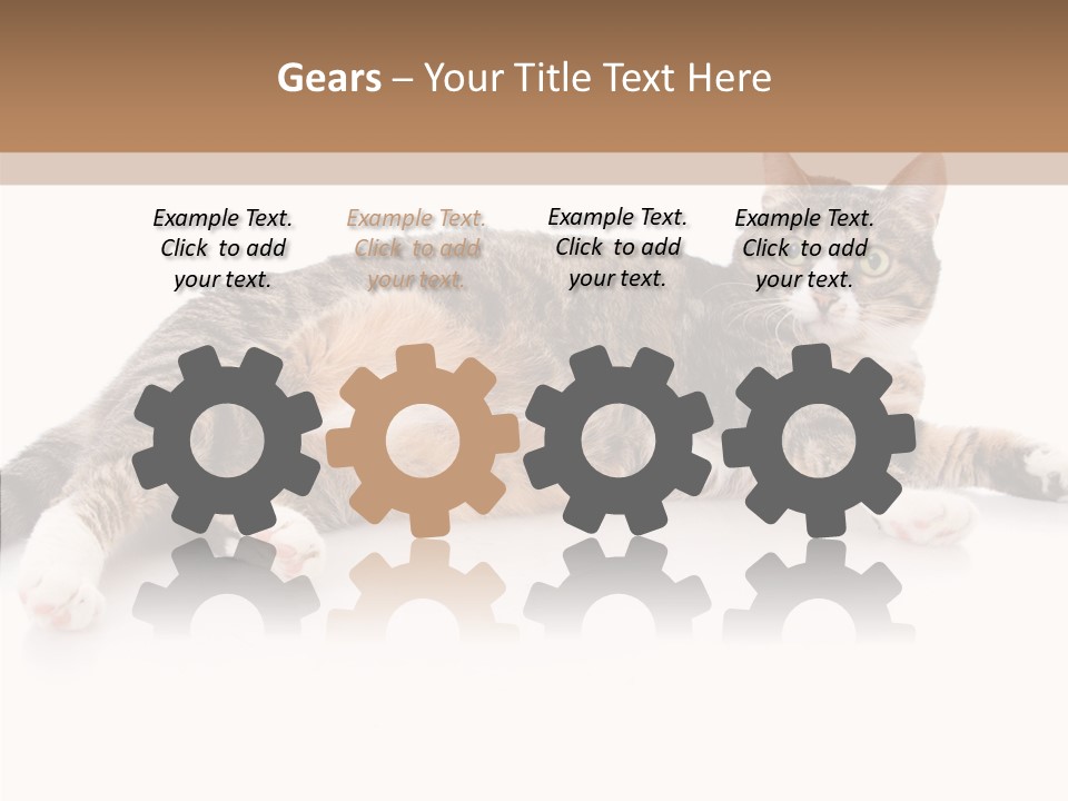 Kitten Tabby Vet PowerPoint Template