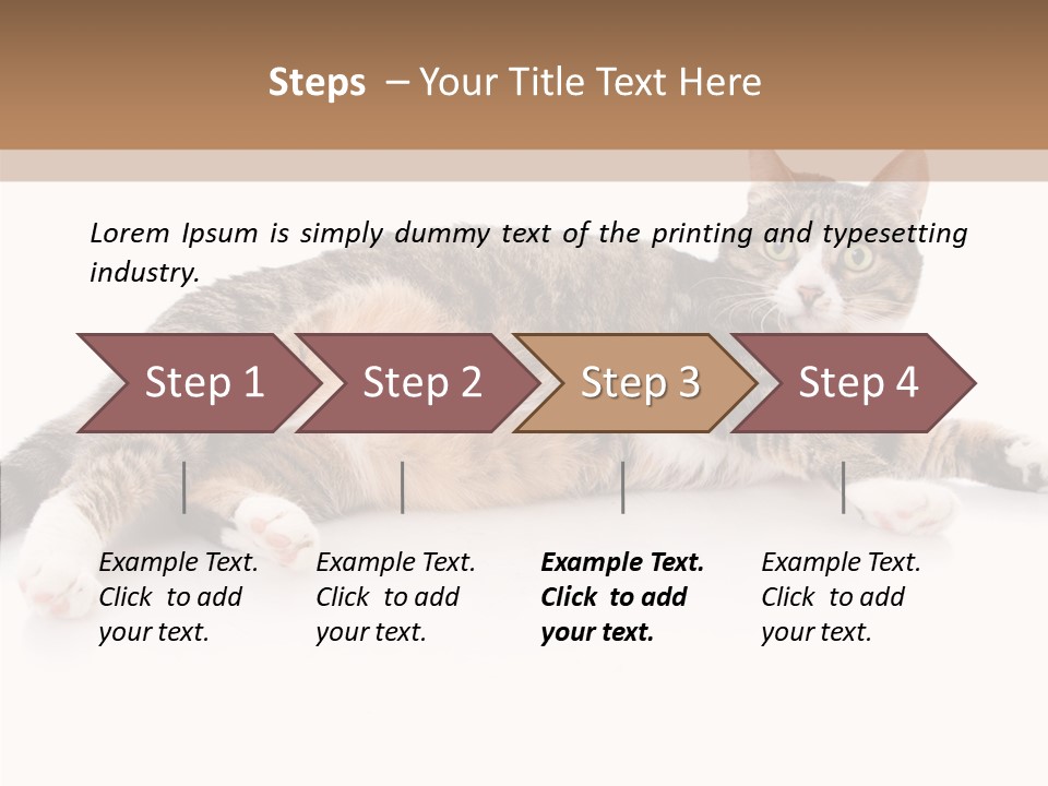 Kitten Tabby Vet PowerPoint Template