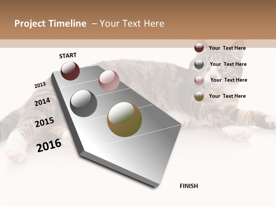 Kitten Tabby Vet PowerPoint Template