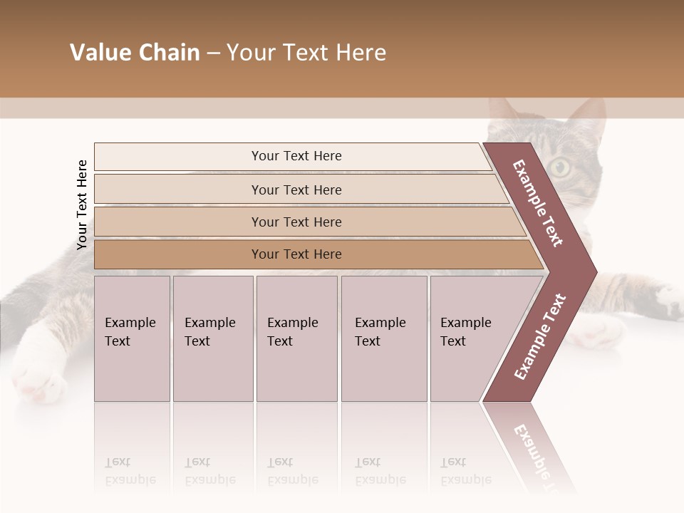 Kitten Tabby Vet PowerPoint Template