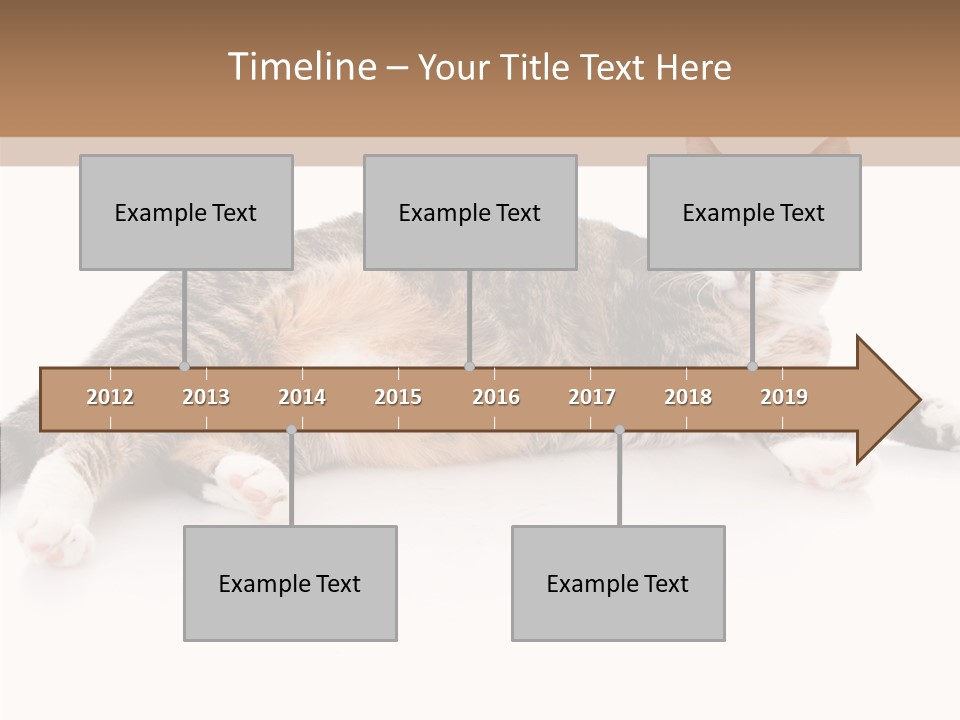 Kitten Tabby Vet PowerPoint Template