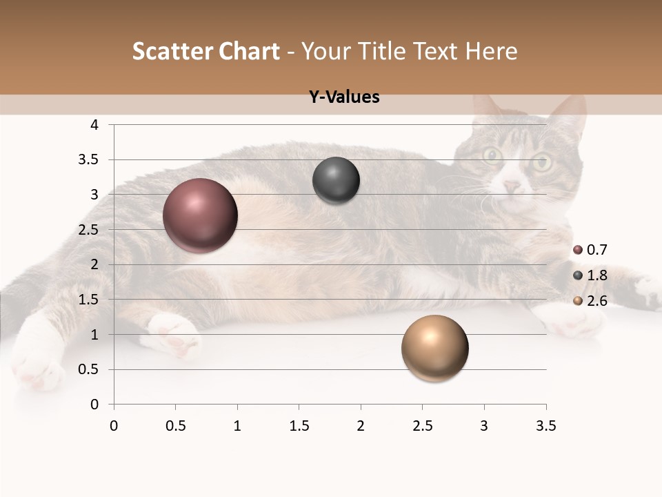 Kitten Tabby Vet PowerPoint Template