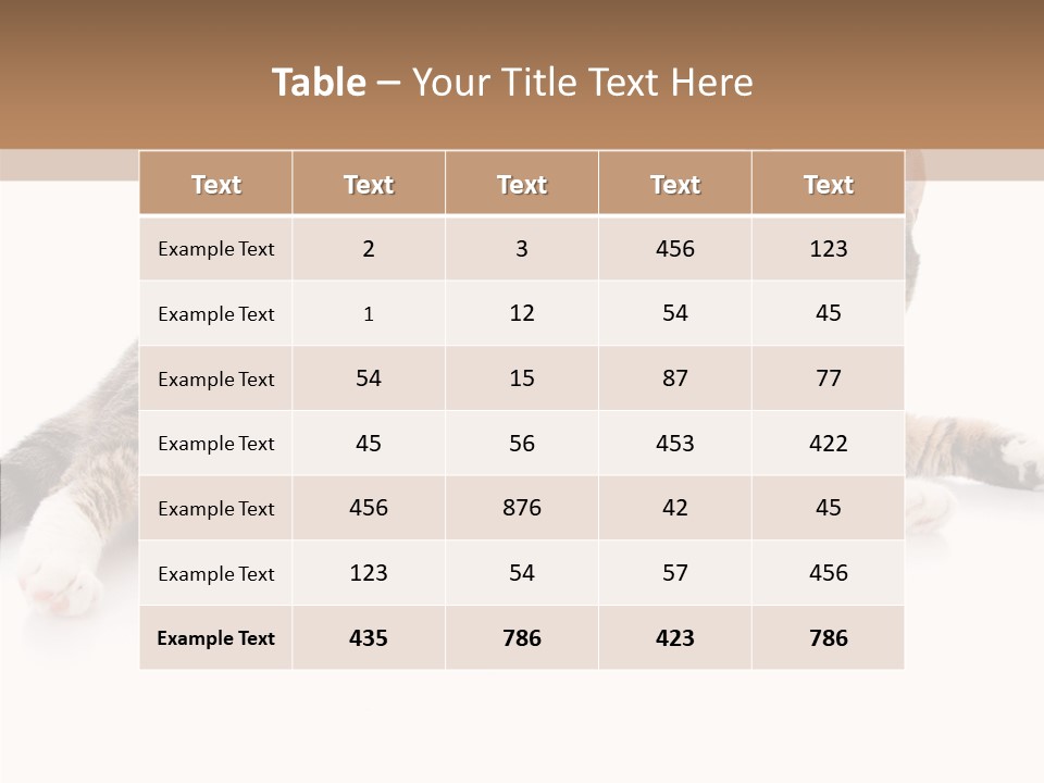 Kitten Tabby Vet PowerPoint Template