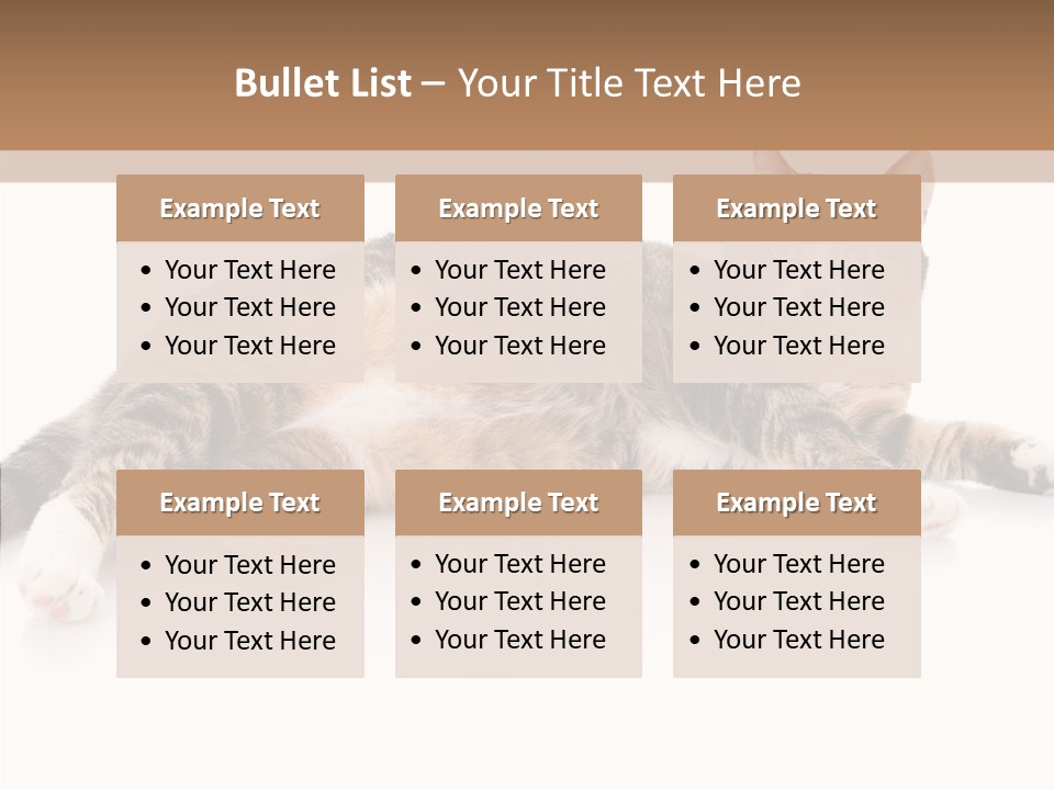 Kitten Tabby Vet PowerPoint Template