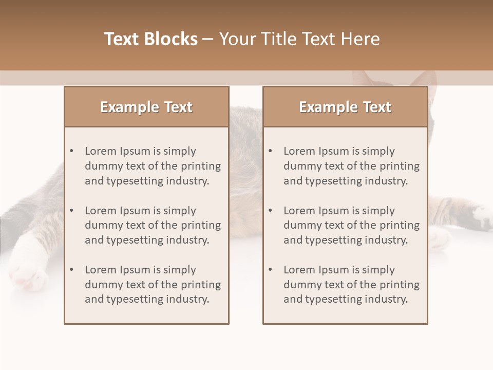 Kitten Tabby Vet PowerPoint Template