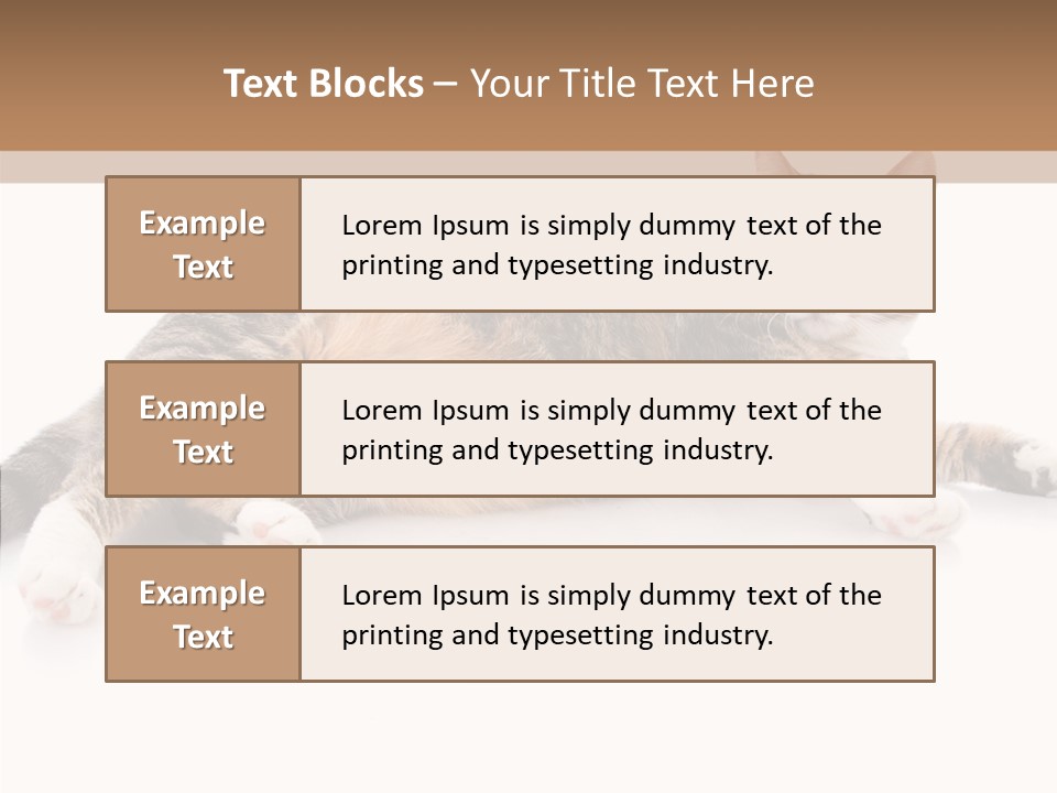 Kitten Tabby Vet PowerPoint Template