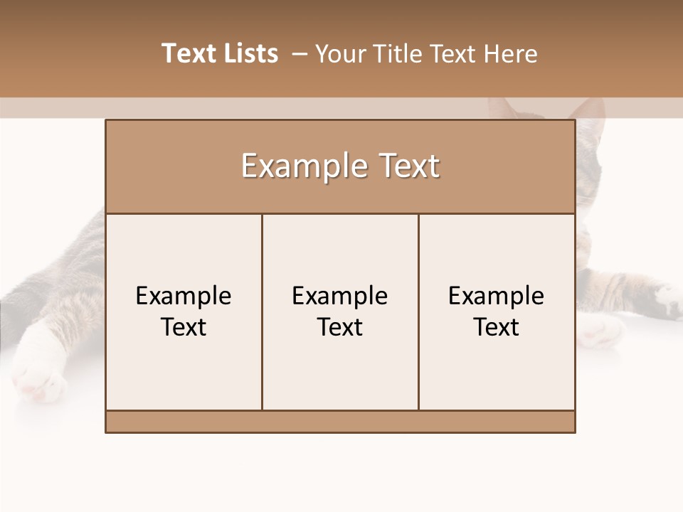 Kitten Tabby Vet PowerPoint Template