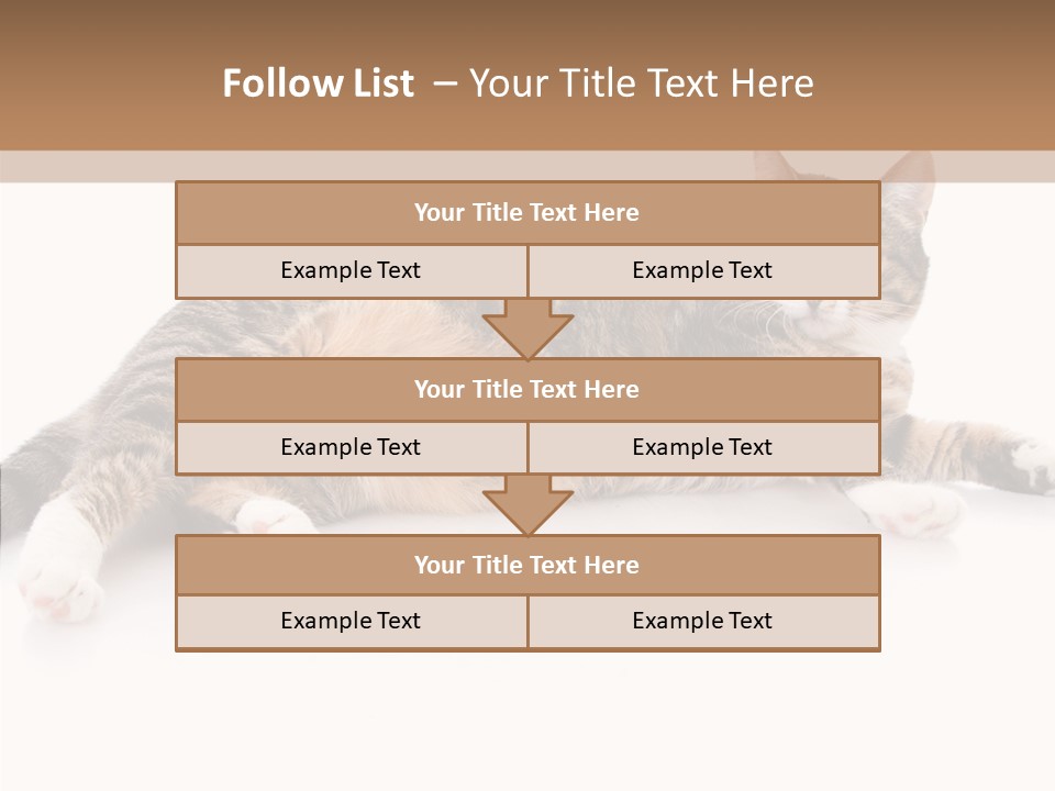 Kitten Tabby Vet PowerPoint Template