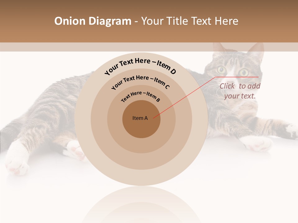 Kitten Tabby Vet PowerPoint Template