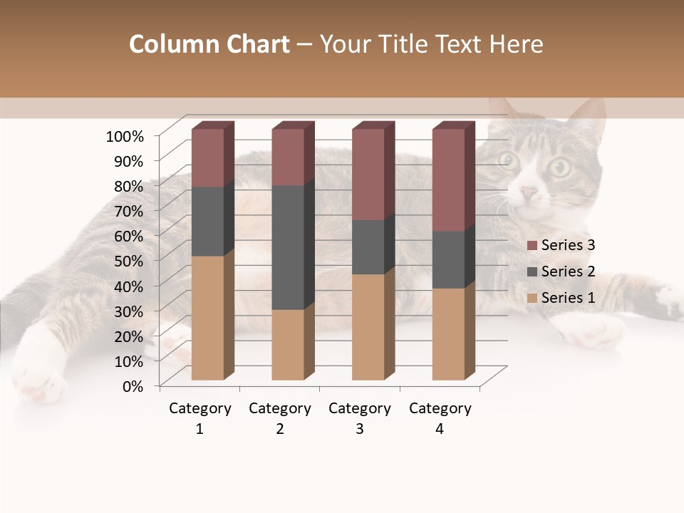Kitten Tabby Vet PowerPoint Template