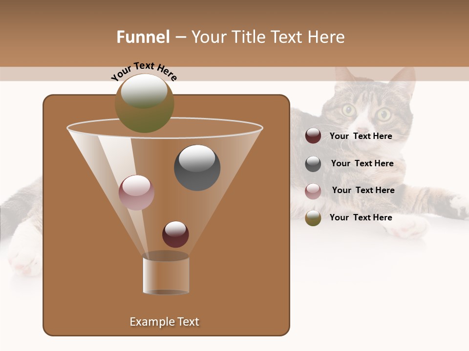 Kitten Tabby Vet PowerPoint Template