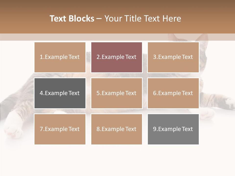 Kitten Tabby Vet PowerPoint Template