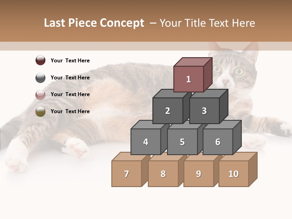 Kitten Tabby Vet PowerPoint Template