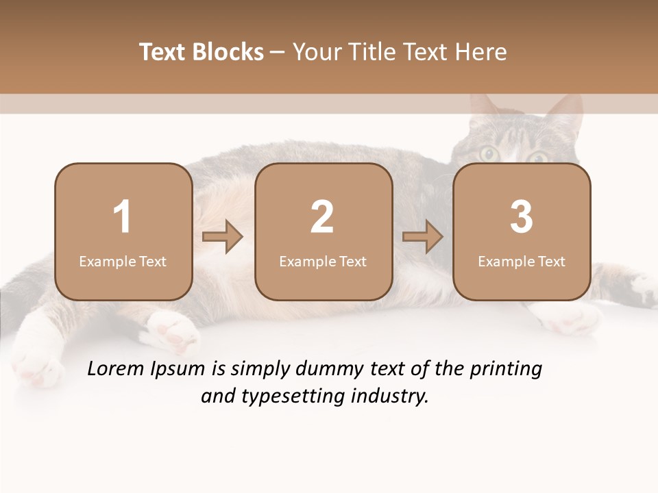 Kitten Tabby Vet PowerPoint Template