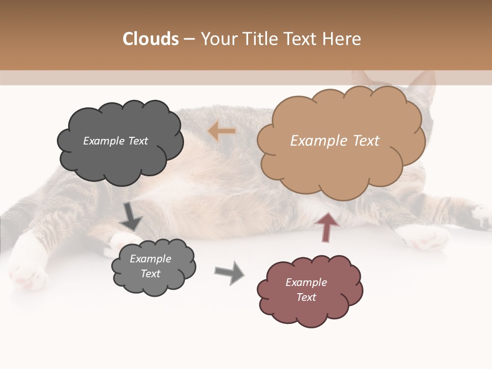 Kitten Tabby Vet PowerPoint Template
