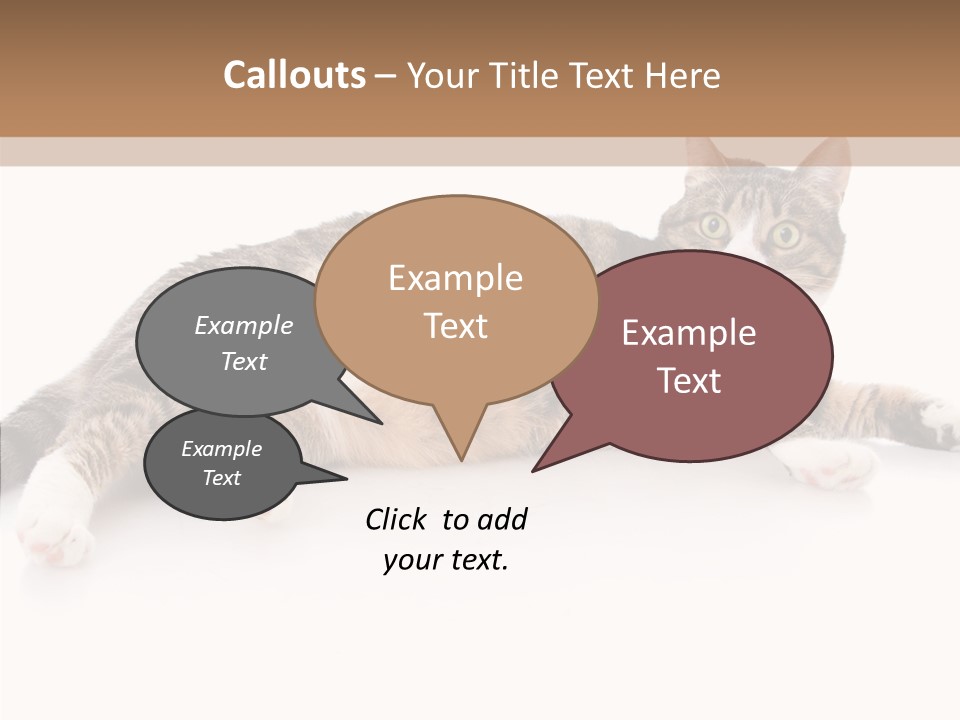 Kitten Tabby Vet PowerPoint Template