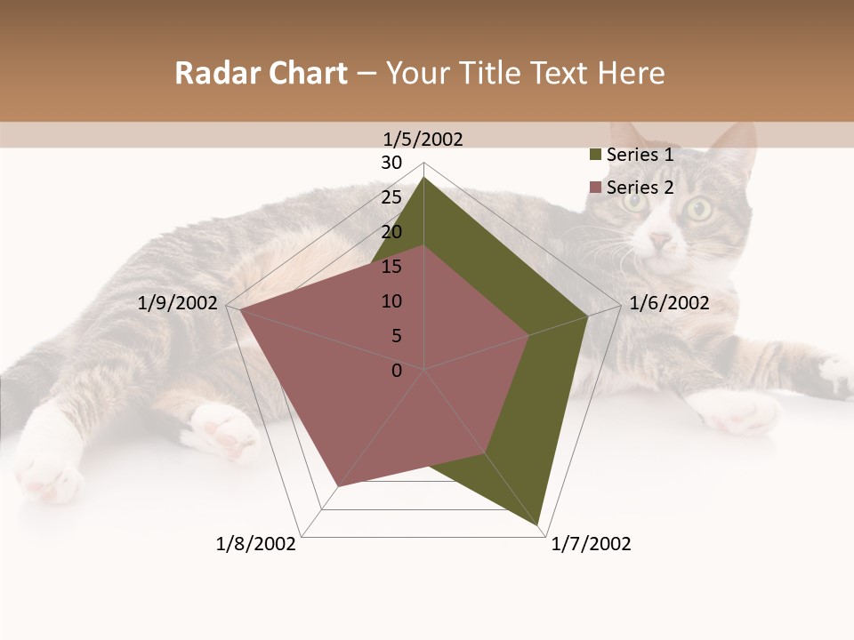 Kitten Tabby Vet PowerPoint Template