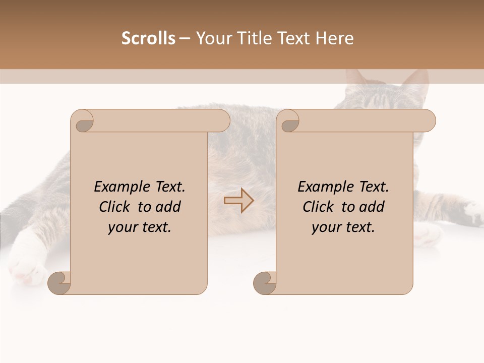 Kitten Tabby Vet PowerPoint Template