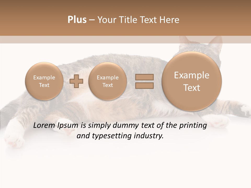 Kitten Tabby Vet PowerPoint Template