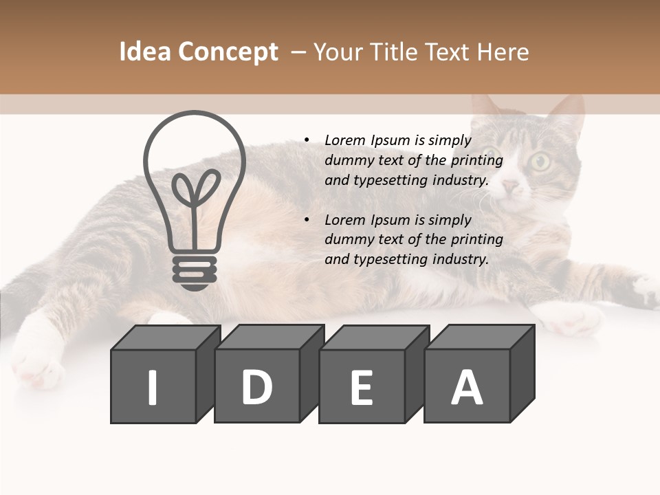 Kitten Tabby Vet PowerPoint Template