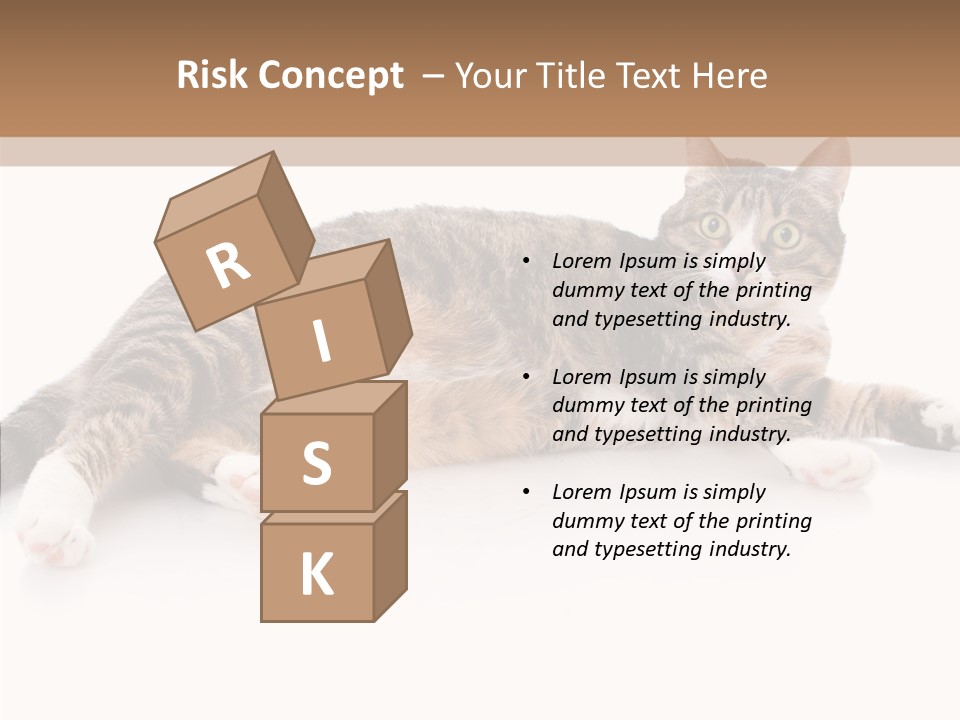 Kitten Tabby Vet PowerPoint Template