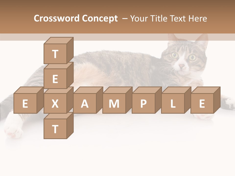 Kitten Tabby Vet PowerPoint Template