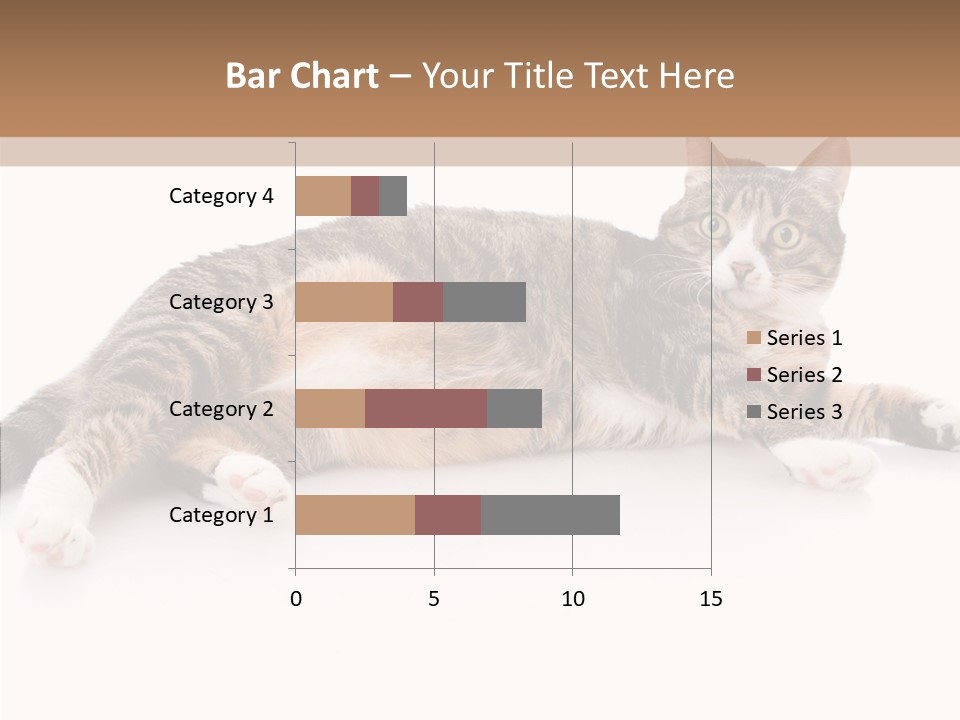 Kitten Tabby Vet PowerPoint Template