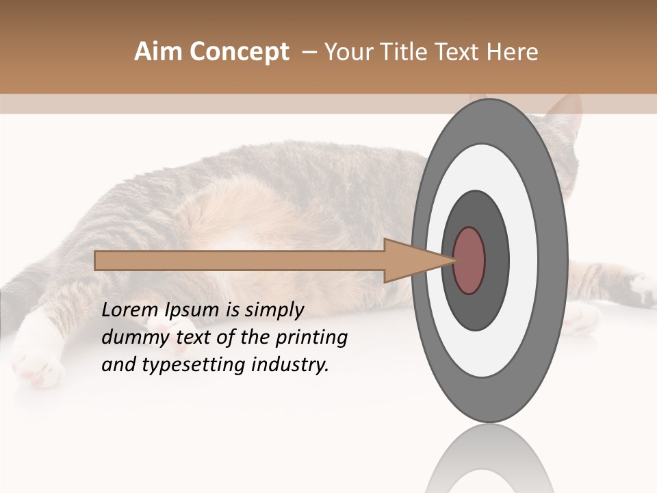 Kitten Tabby Vet PowerPoint Template