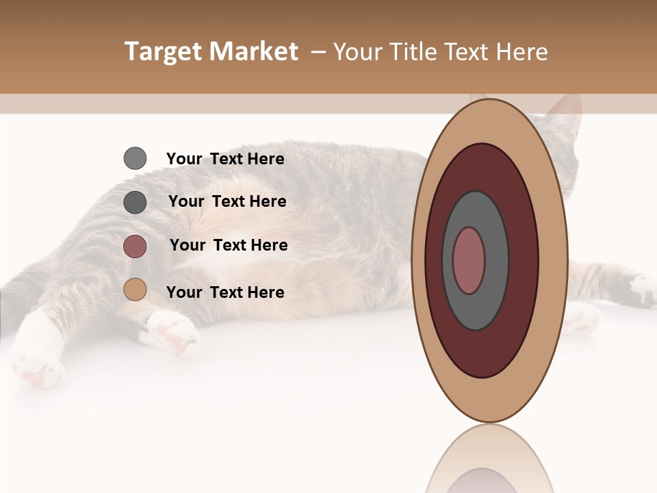 Kitten Tabby Vet PowerPoint Template