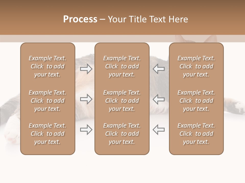 Kitten Tabby Vet PowerPoint Template