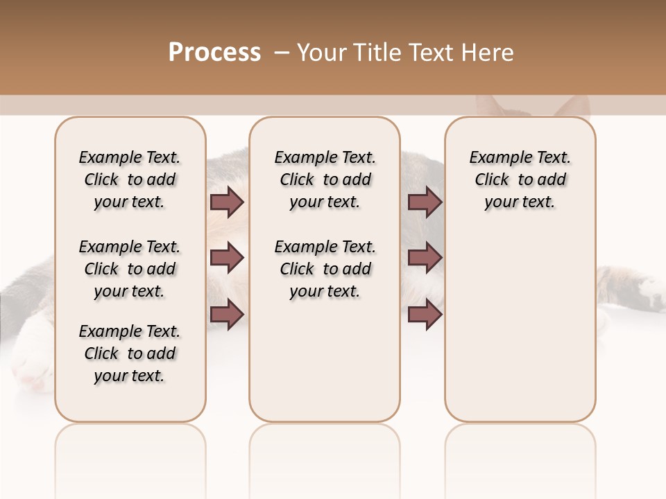 Kitten Tabby Vet PowerPoint Template